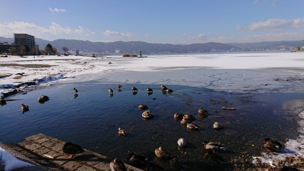 諏訪湖が全面結氷しました（2021年1月13日） | 諏訪市観光ガイド｜諏訪観光協会 公式サイト